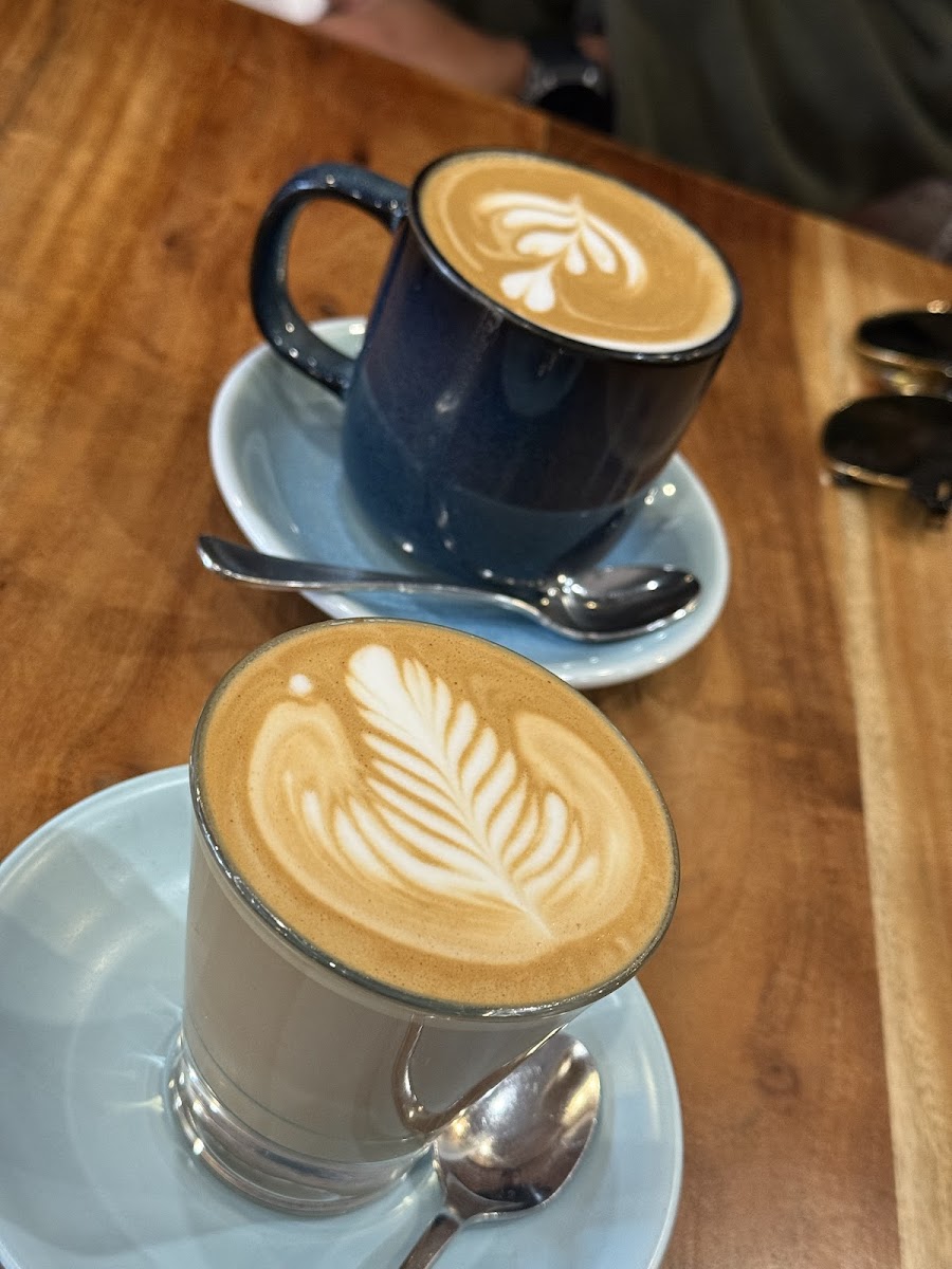 Halo Espresso Photo 4