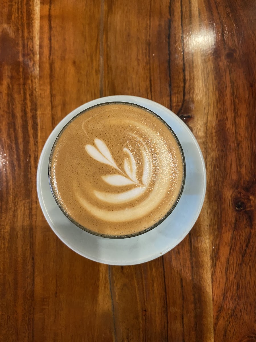 Halo Espresso Photo 9